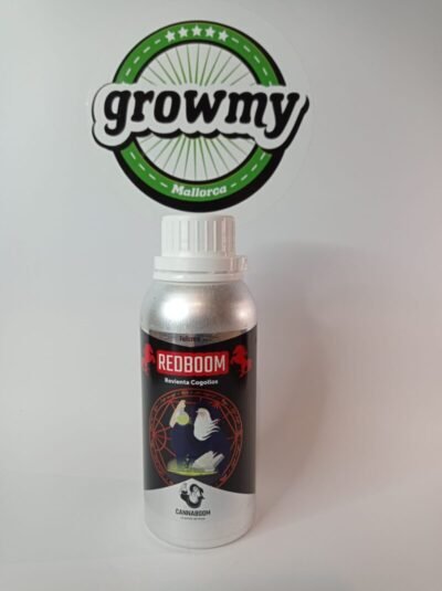Red Boom - Imagen 3
