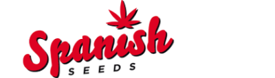 Auto CBD Feminizada - Imagen 2