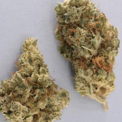 Orange Bud - Imagen 2