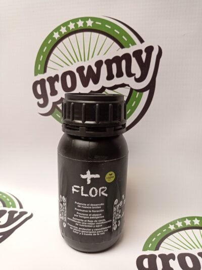 + Flor