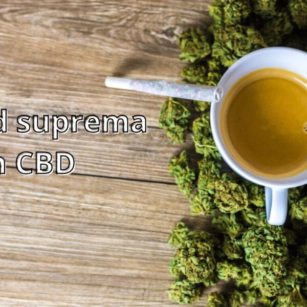 comprar cbd en mallorca, comprar cbd de calidad, comprar cbd premium,