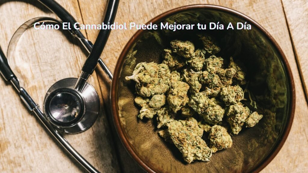 Cómo El Cannabidiol Puede Mejorar tu Día A Día