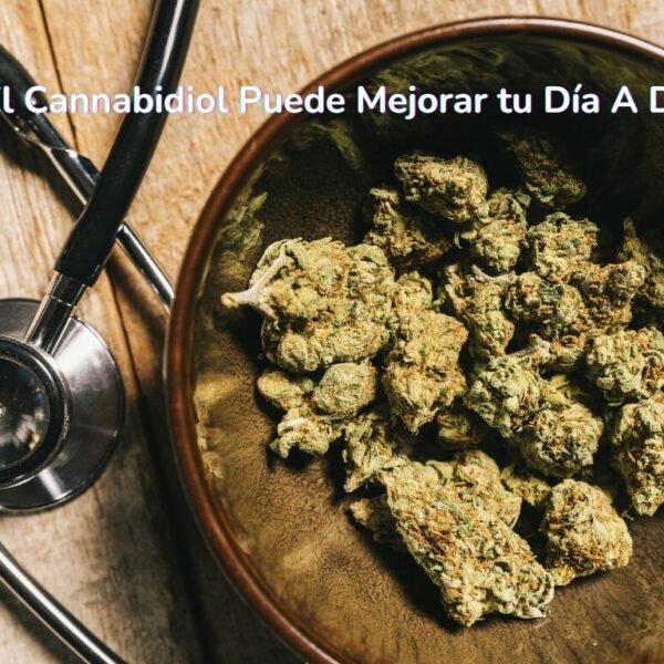 Cómo El Cannabidiol Puede Mejorar tu Día A Día