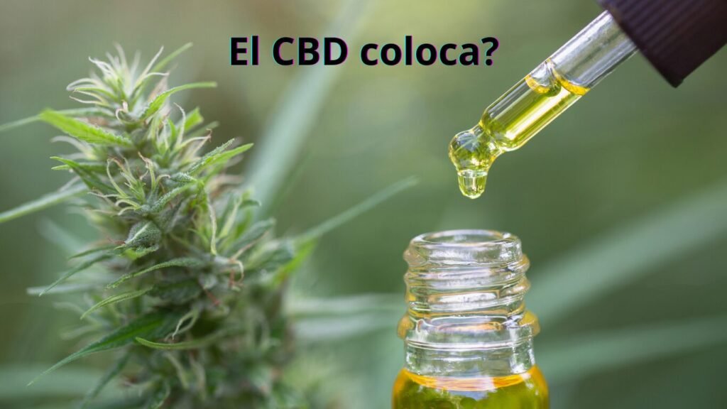 comprar cbd en mallorca, comprar cbd de calidad, comprar cbd premium,