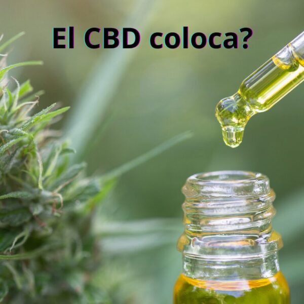 comprar cbd en mallorca, comprar cbd de calidad, comprar cbd premium,
