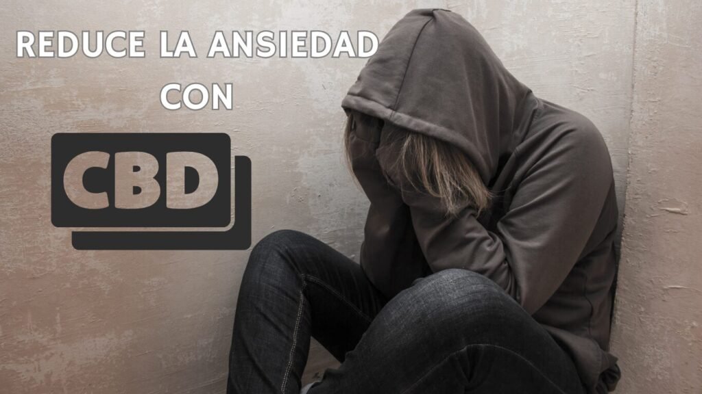 comprar cbd en mallorca, comprar cbd de calidad, comprar cbd premium,