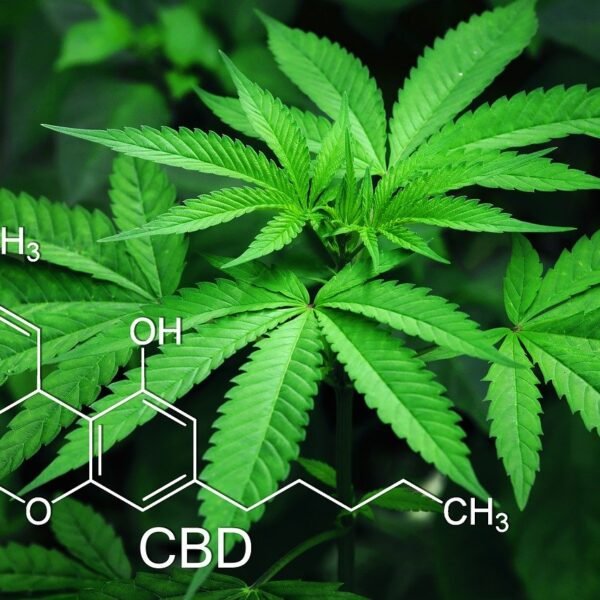 cbd online mallorca, comprar cbd en mallorca, cbd premium, cbd de calidad,