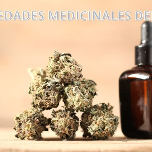 propiedades medicinales del CBD